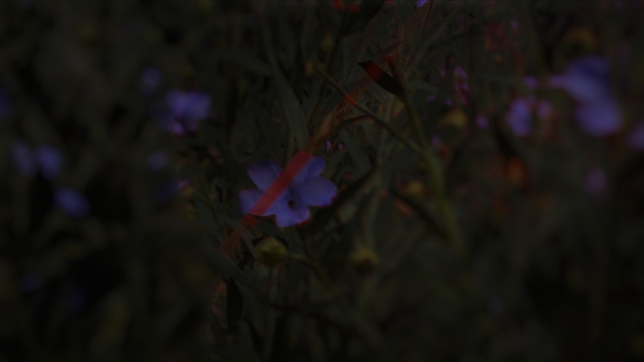 Studies on Breaking Immersion